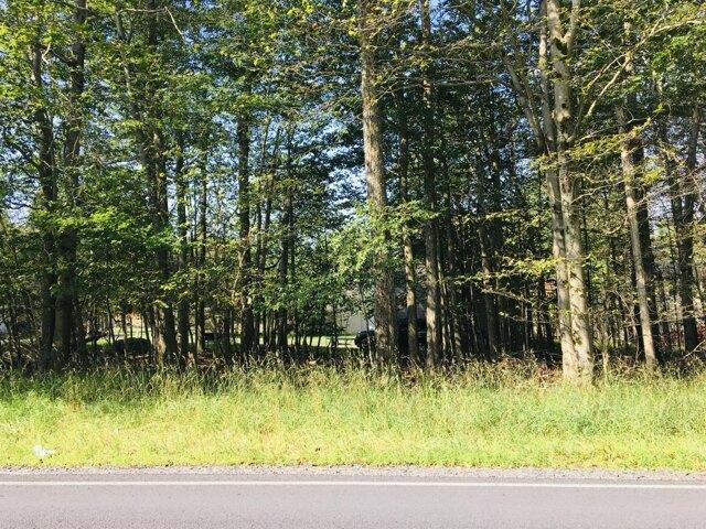 Land for sale in Tobyhanna