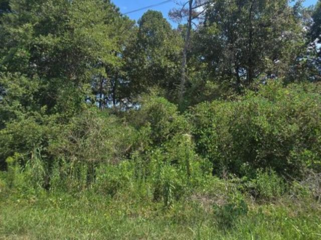Land for sale in Haleyville, Winston County
