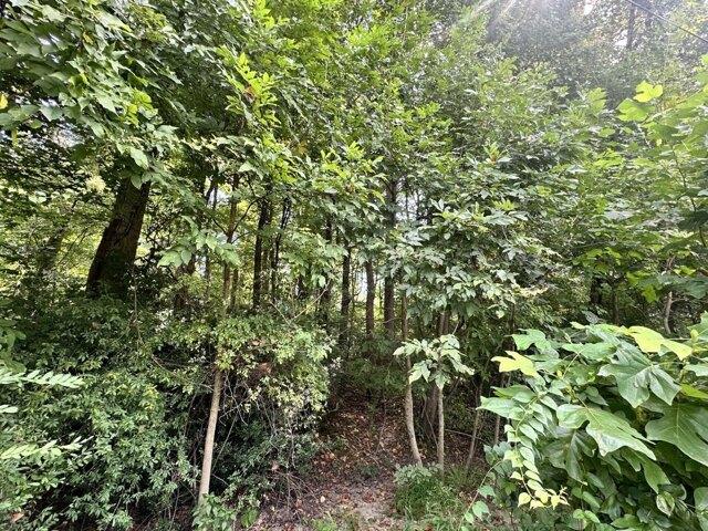 Land for sale in Elkton, Maryland