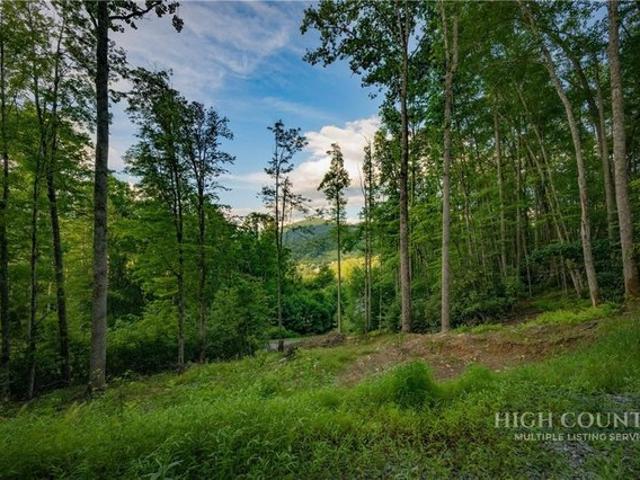 Land for sale in Avery, North Carolina