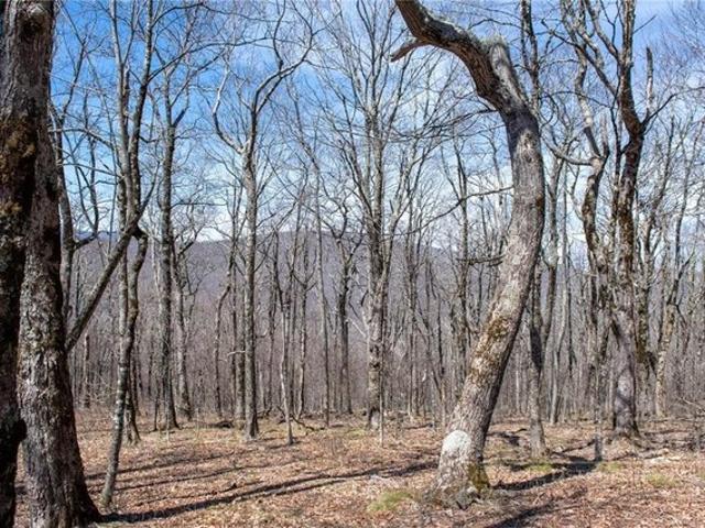 Land for sale in Todd, North Carolina