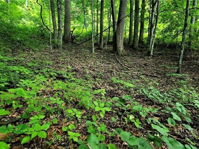 Land for sale in Todd, North Carolina