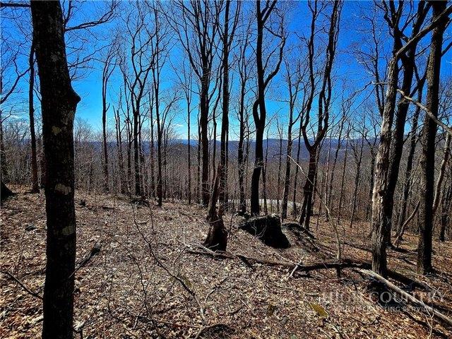 Land for sale in Todd, North Carolina