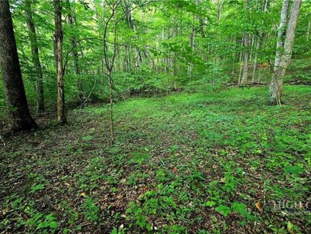 Land for sale in Todd, North Carolina