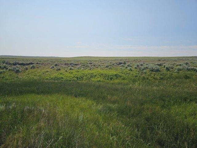 Land for sale in Petroleum, Montana