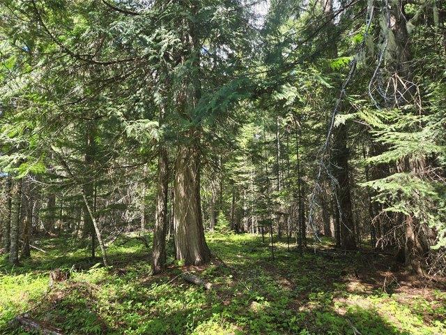 Land for sale in Sanders, Montana