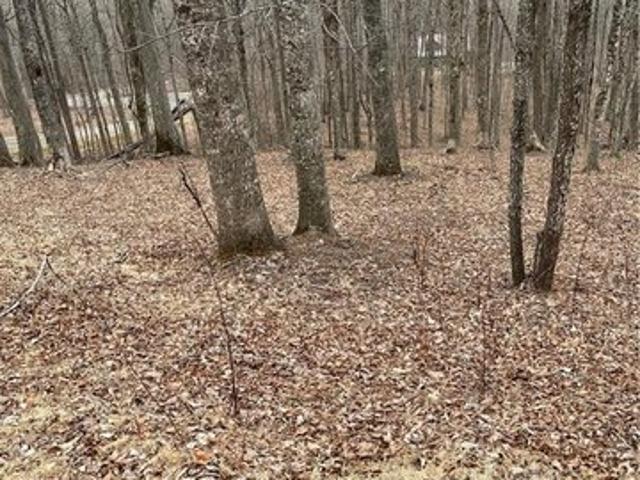 Land for sale in Todd, North Carolina