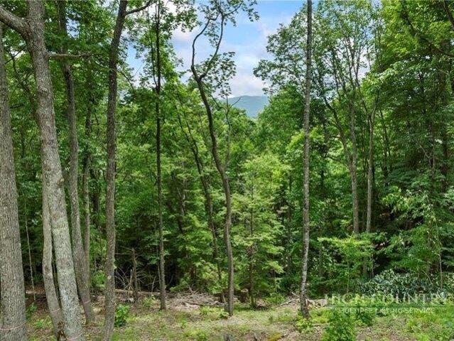 Land for sale in Avery, North Carolina