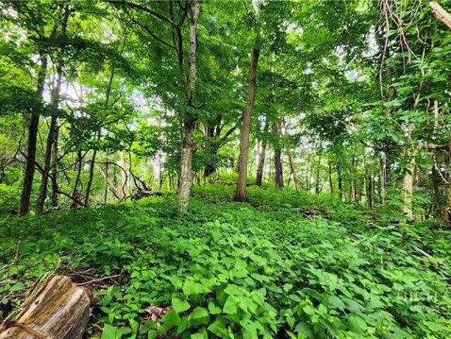 Land for sale in Avery, North Carolina
