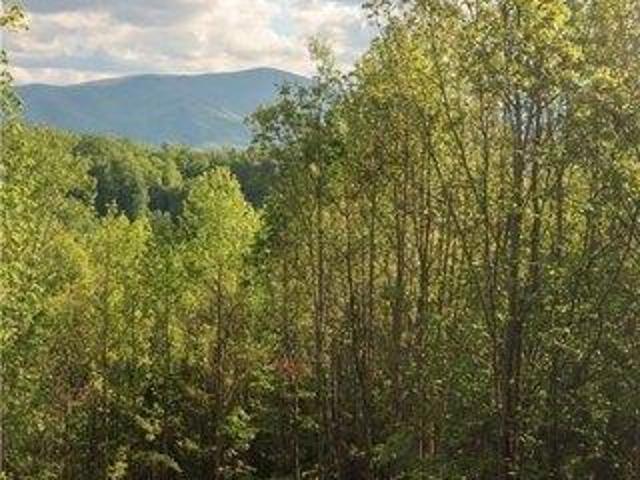 Land for sale in Avery, North Carolina