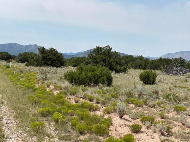 Land for sale in Corona, New Mexico