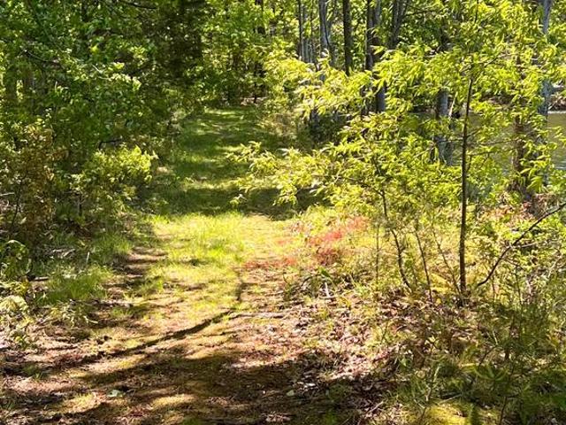 Land for sale in Virginia