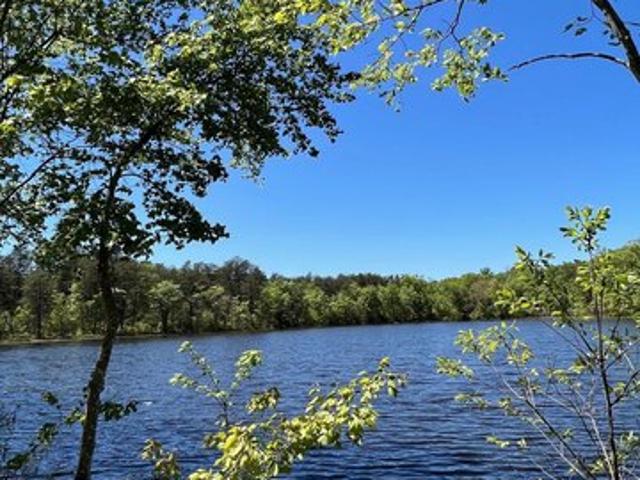Land for sale in Virginia