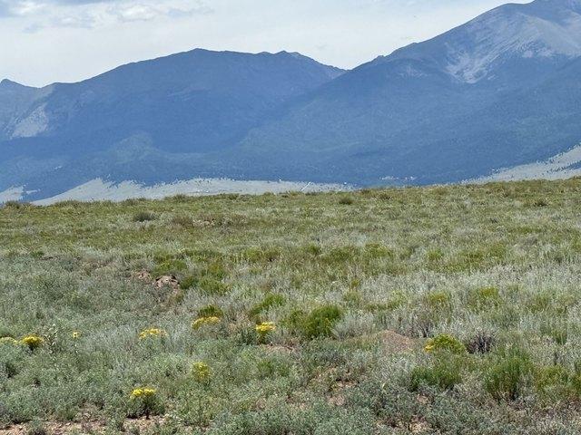 Land for sale in Custer, Colorado