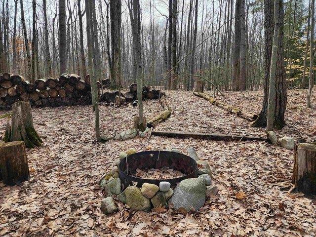 Land for sale in Clare, Michigan