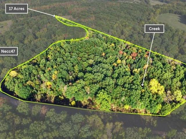 Land for sale in Stella, Newton County