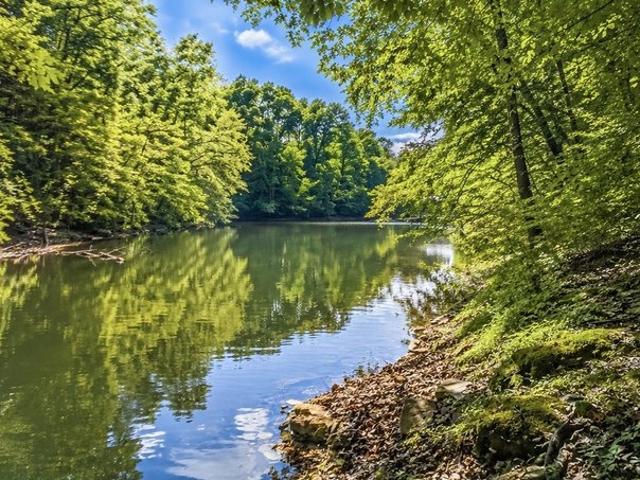 Land for sale in Tennessee