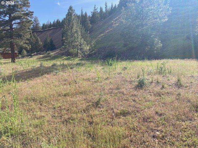 Land for sale in Oregonia