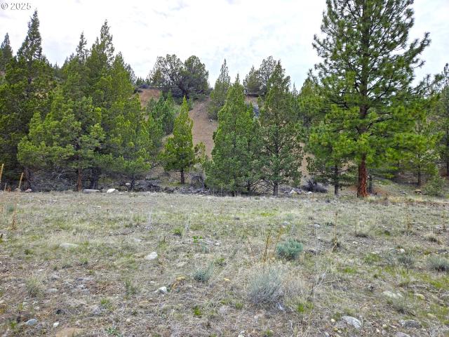 Land for sale in Oregonia
