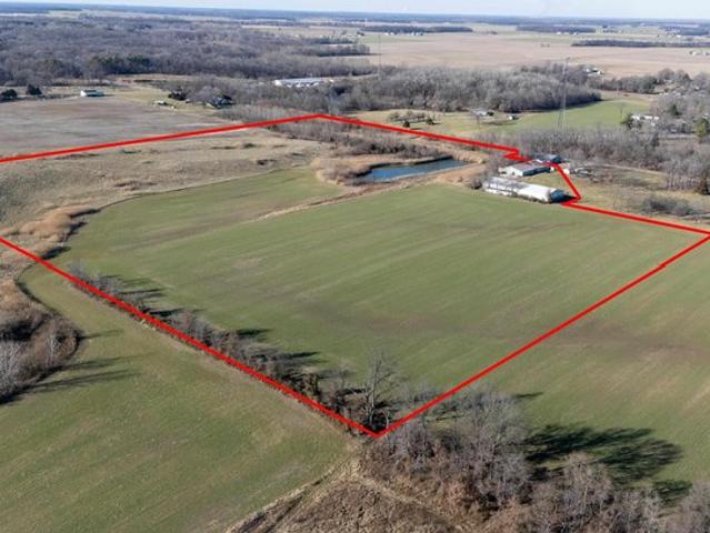 Land for sale in Elkville, Illinois