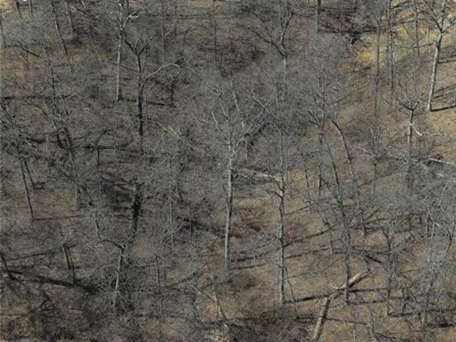 Land for sale in Saint Charles Land for sale in Saint Charles