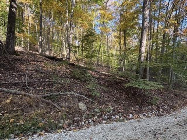 Land for sale in Nashville, Brown County