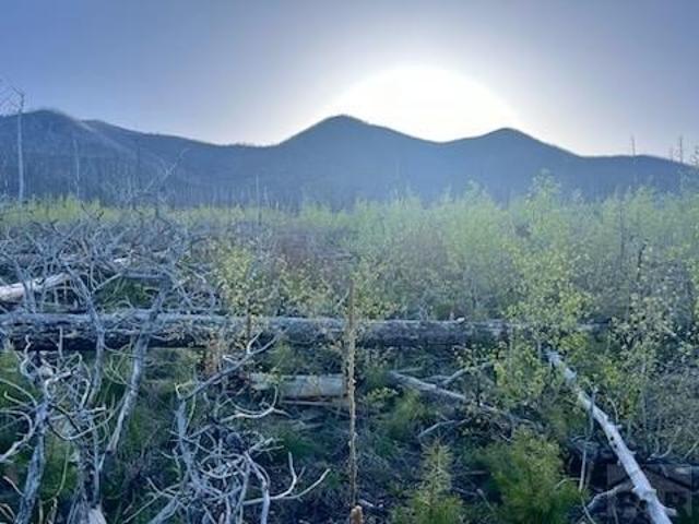 Land for sale in La Veta, Colorado