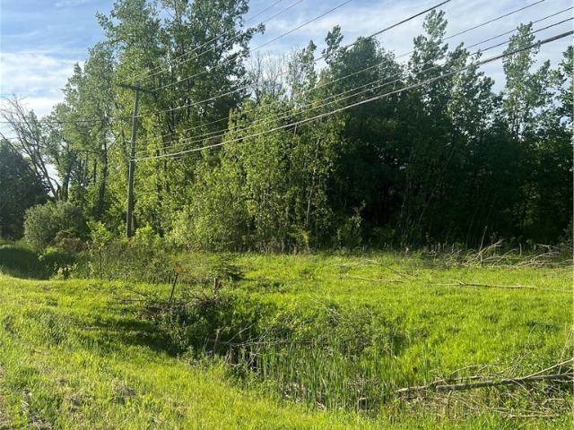 Land for sale in Orchard Park, New York