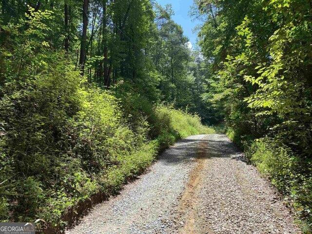 Land for sale in Ellijay