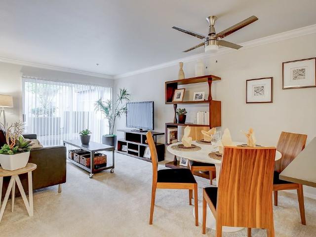 Apartment for rent in Bellevue, Washington