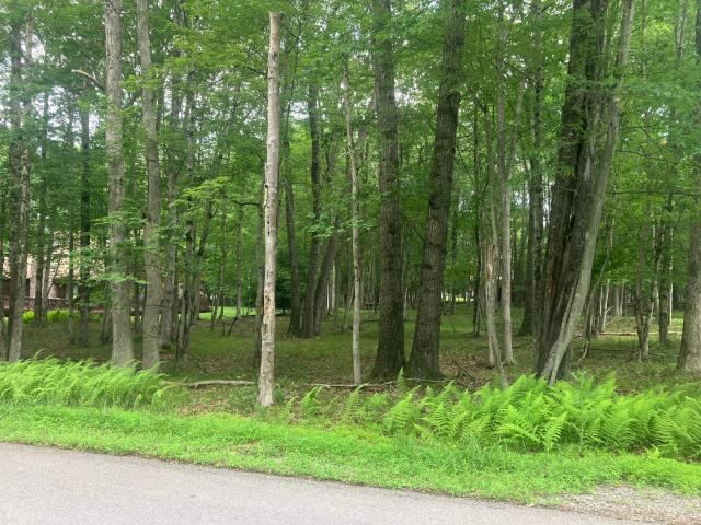 Land for sale in Carbon, Pennsylvania