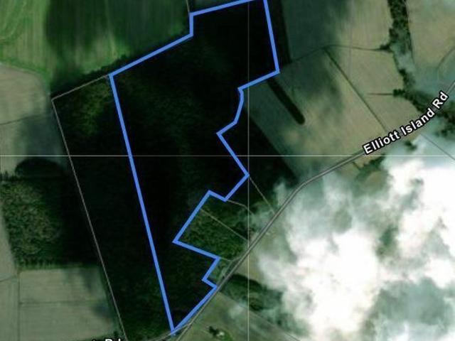 Land for sale in Vienna, Dorchester County