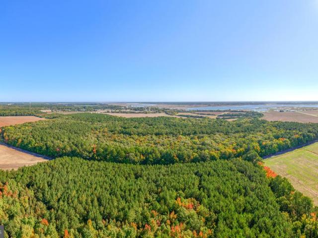Land for sale in Vienna, Dorchester County