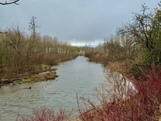 Land for sale in Westfield, Maine