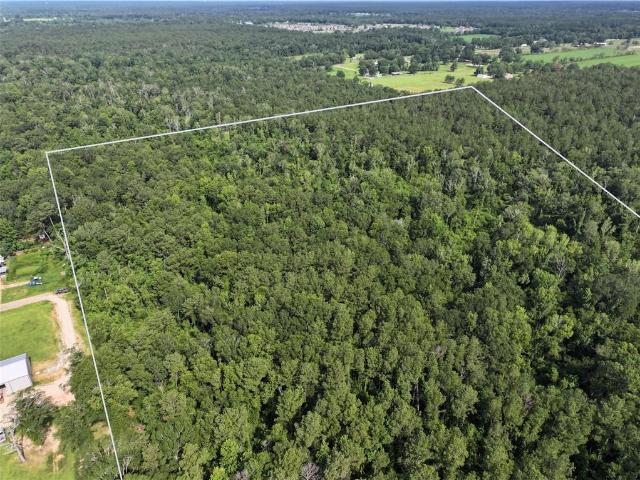 Land for sale in Loranger, Louisiana