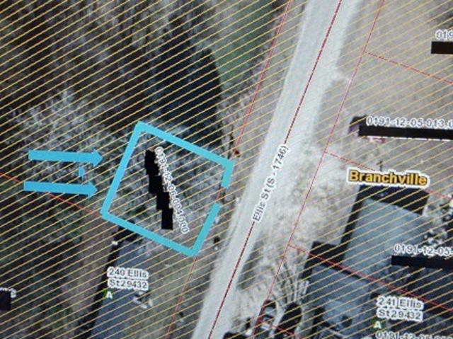 Land for sale in Branchville
