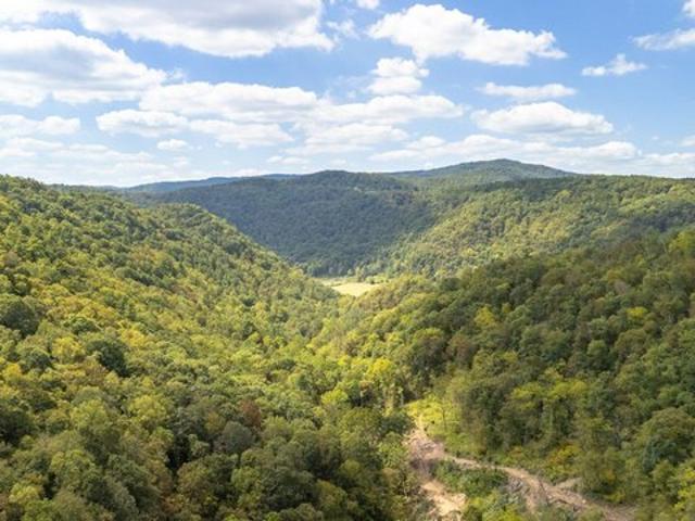 Land for sale in Jumping Branch, West Virginia