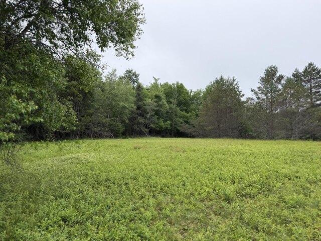 Land for sale in Blue Hill, Maine
