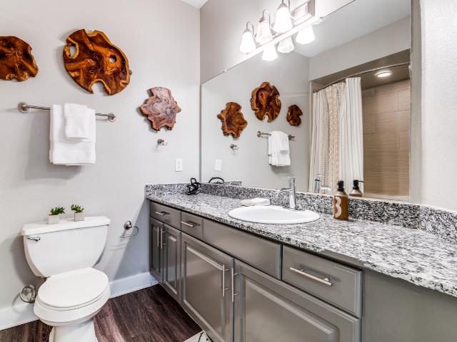 Apartment for rent in Austin, Texas