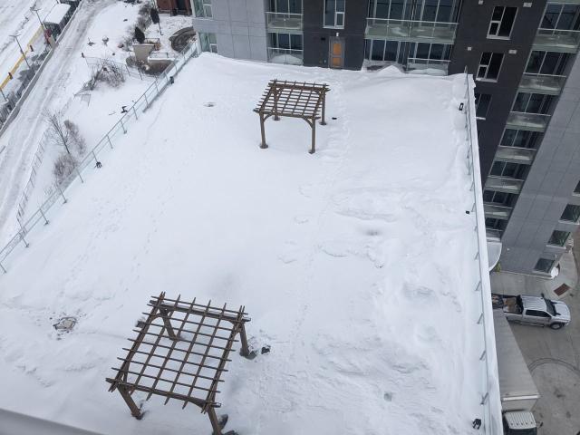 Apartment for rent in Mulhurst Bay, Ontario