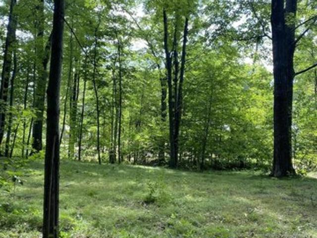 Land for sale in Lakeview, Michigan