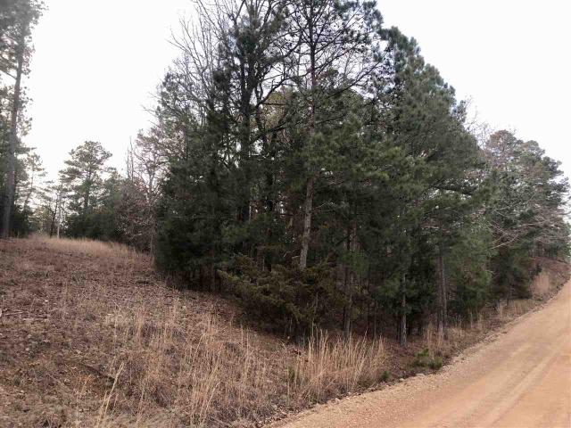 Land for sale in Ark