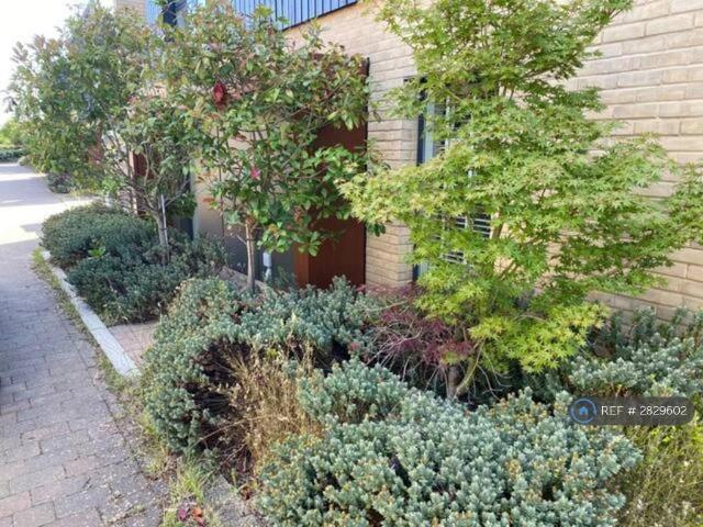 House for rent in Arbury, Cambridgeshire