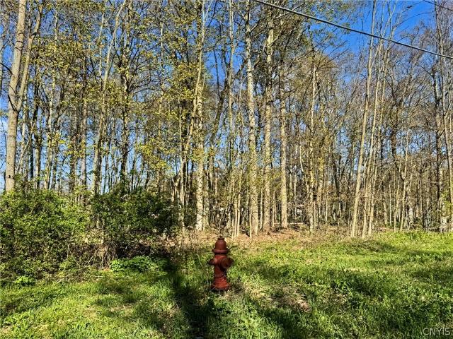 Land for sale in Groton, New York