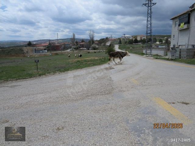 Elmadağ, Ankara içerisinde satılık Arsa