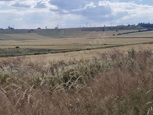 Elmadağ, Ankara içerisinde satılık Arsa