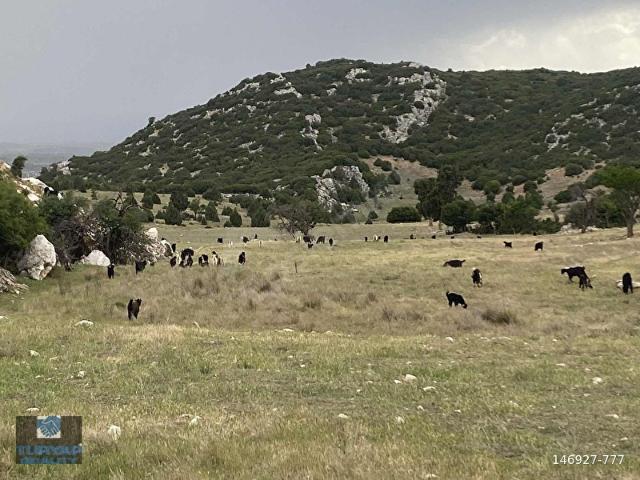 Elmali, Antalya içerisinde satılık mülk