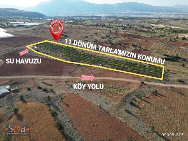 Elmali, Antalya içerisinde satılık Arsa