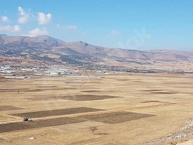 Elmali, Antalya içerisinde satılık Arsa