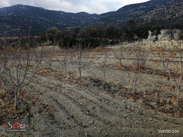Elmali, Antalya içerisinde satılık Arsa